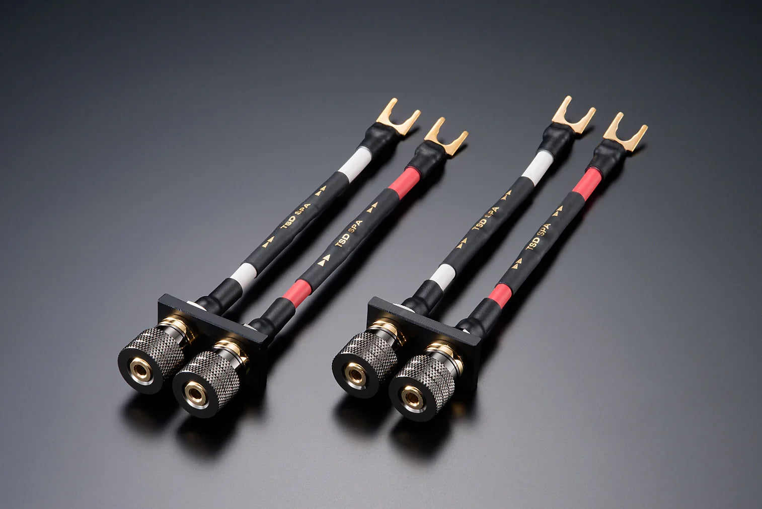 aet エーイーティー スピーカーケーブルスタビライザー TSD-SPA