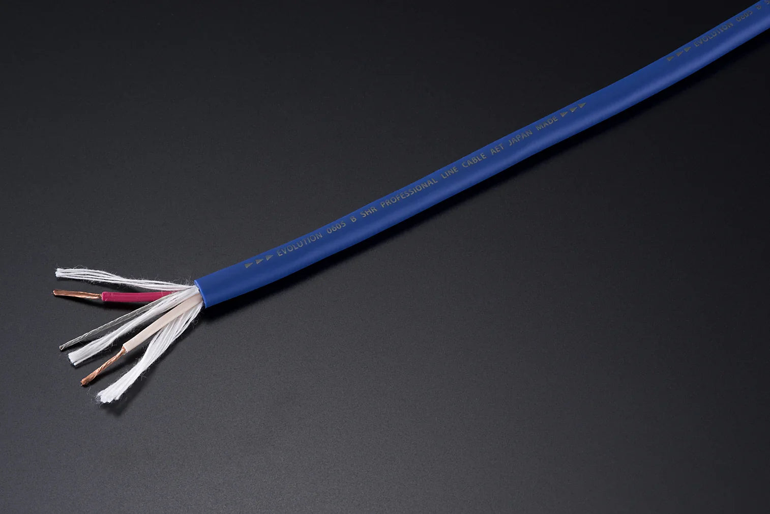 aet エーイーティー ラインケーブル インターコネクトケーブル EVO