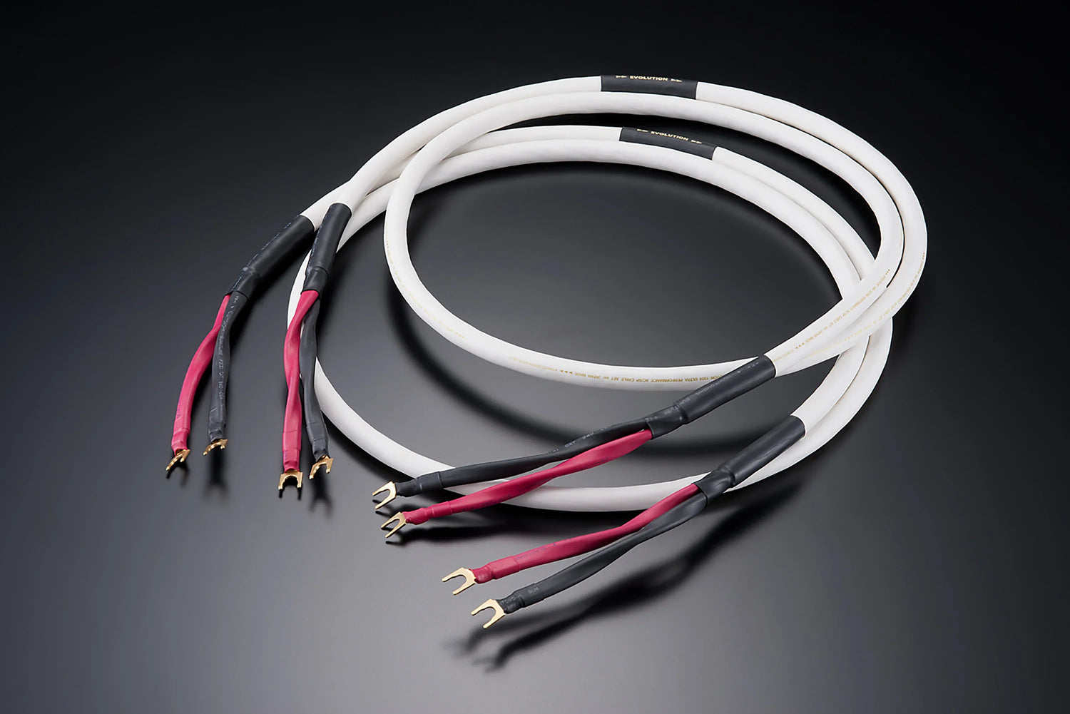 EVO-1304H SP ペア - 【公式】aet online shop エーイーティー オンラインショップ