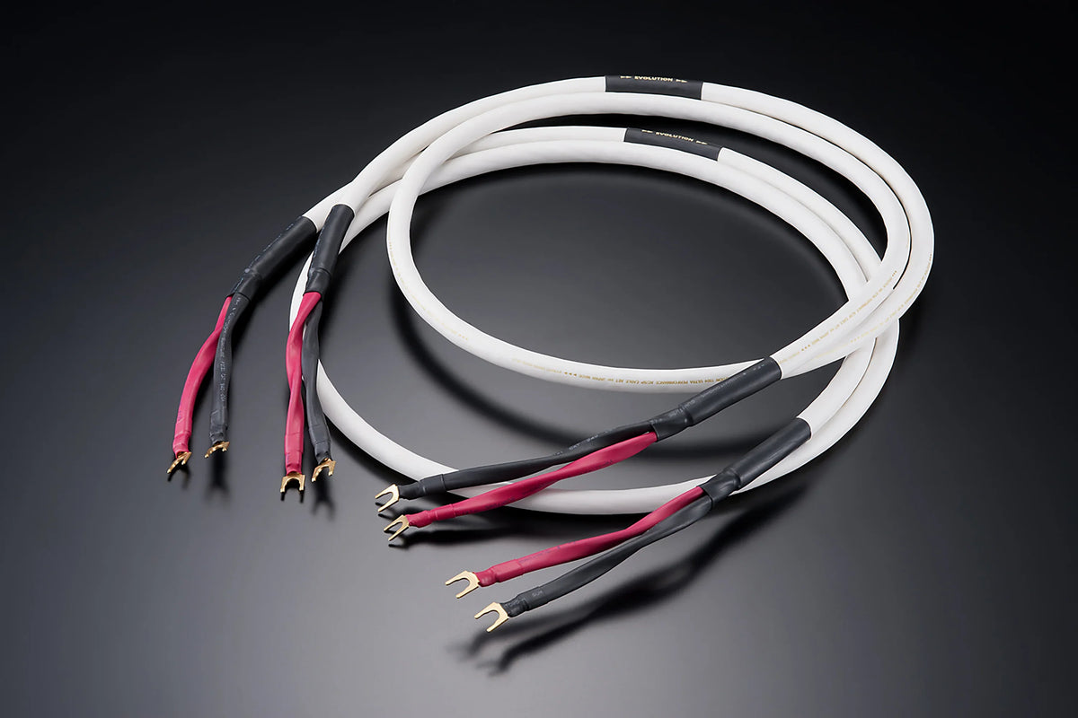 aet エーイーティー スピーカーケーブル EVO-1304H SP ペア – 【公式 
