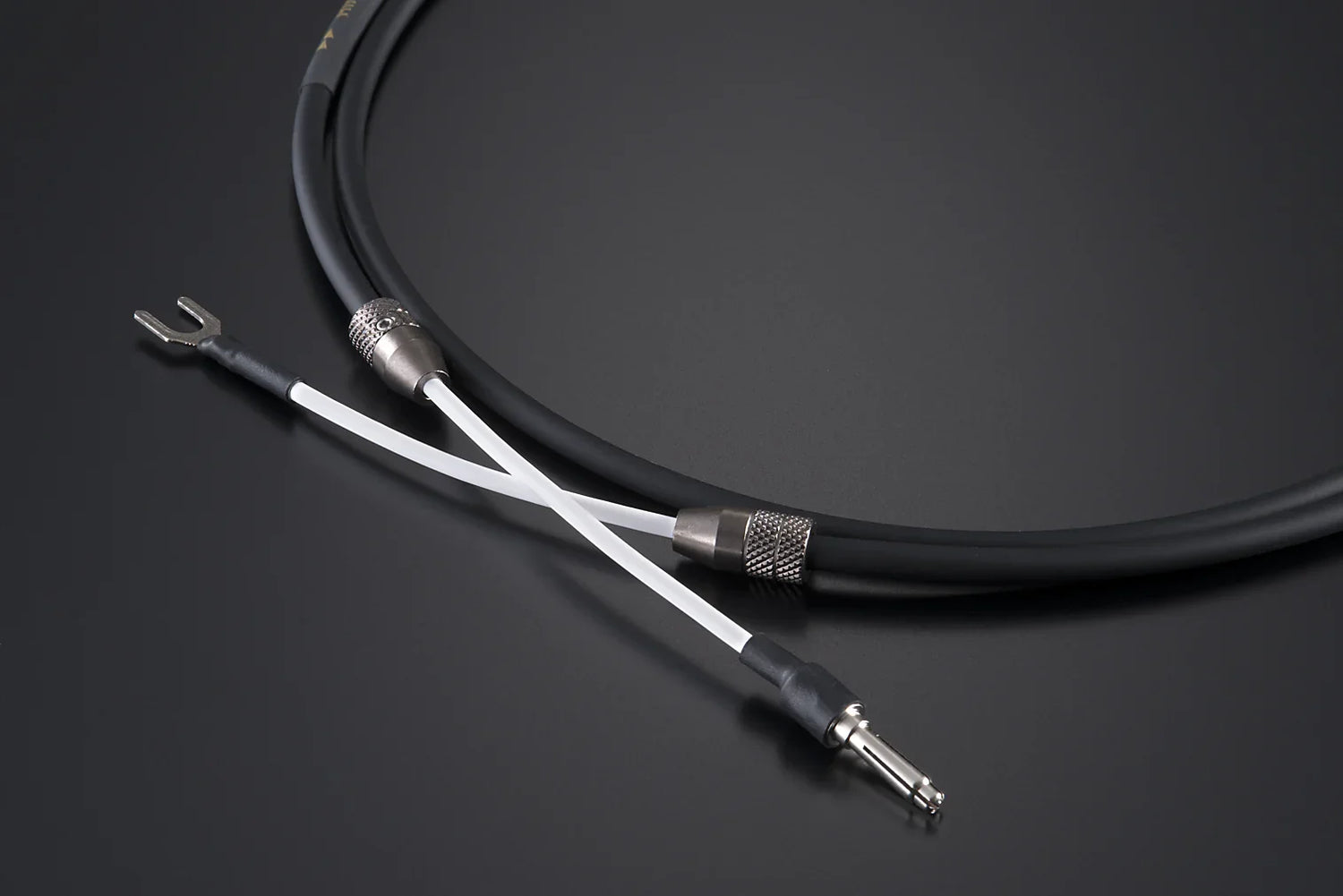 HIN-EW125NI-bY6 - 【公式】aet online shop エーイーティー オンラインショップ